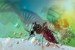 O perigo da automedicação em casos de dengue