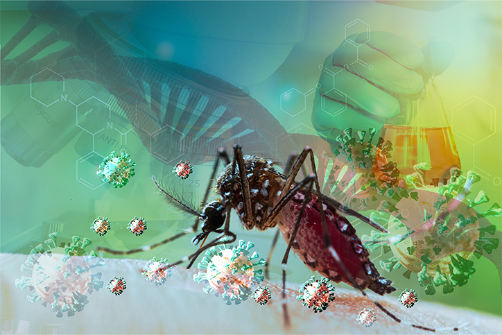 O perigo da automedicação em casos de dengue